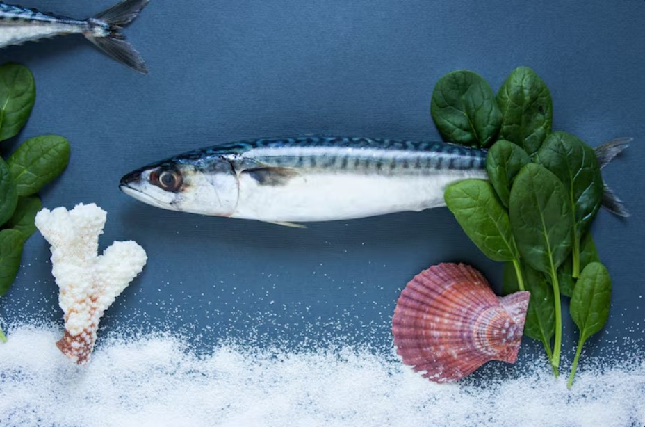 How Saltwater Fish Food Supports Growth, Color, and Immunity How Saltwater Fish Food Supports Growth, Color, and Immunity