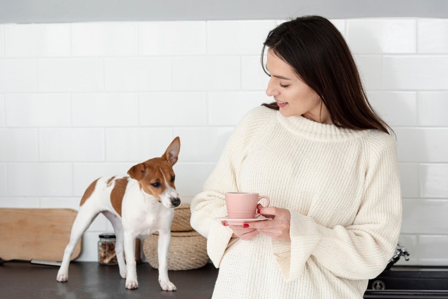 How Dog Probiotics Support Digestive and Immune Health How Dog Probiotics Support Digestive and Immune Health
