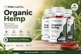 Hemp Products for Busy People Who Want Simple Wellness Habits