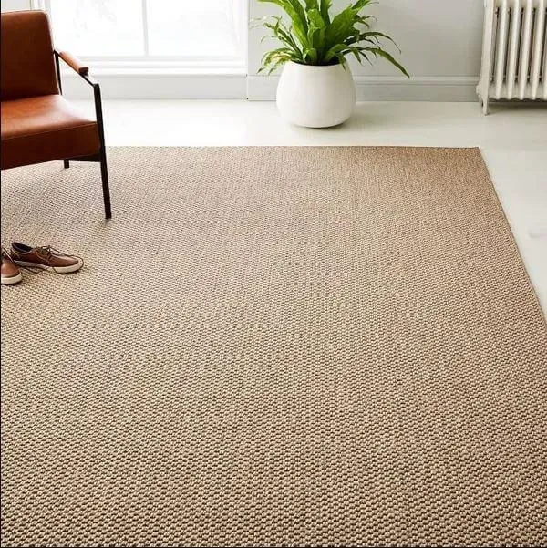 Sisal Rugs (1)