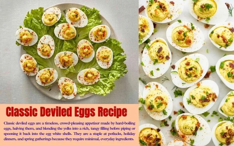 Main Course Ideas That Make Everyday Meals More Enjoyable Main Course Ideas That Make Everyday Meals More Enjoyable