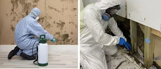 What Equipment Is Used During Professional Mould Cleaning?