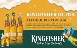 A Fresh Guide to Understanding Beer Costs and Choices