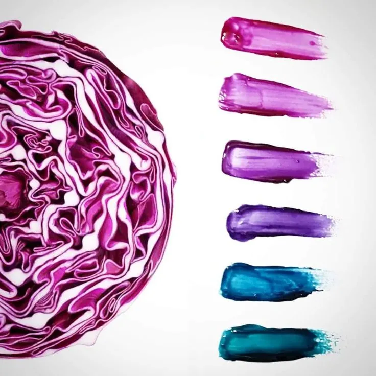 Why Red Cabbage Concentrate Is Gaining Attention in Natural Food Color Development