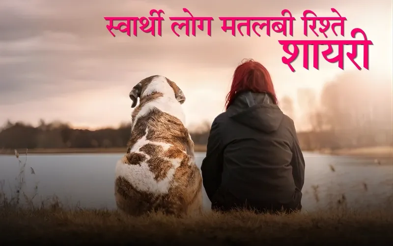 Marathi Shayari For Love Friendship Feelings And Everyday Expressions