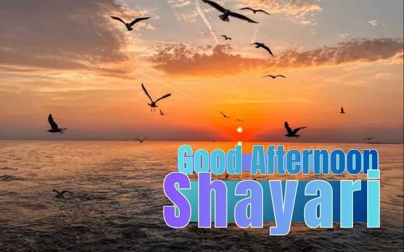 Heartfelt Expressions, Dreams And Marathi Shayari For Everyday Life Heartfelt Expressions, Dreams And Marathi Shayari For Everyday Life