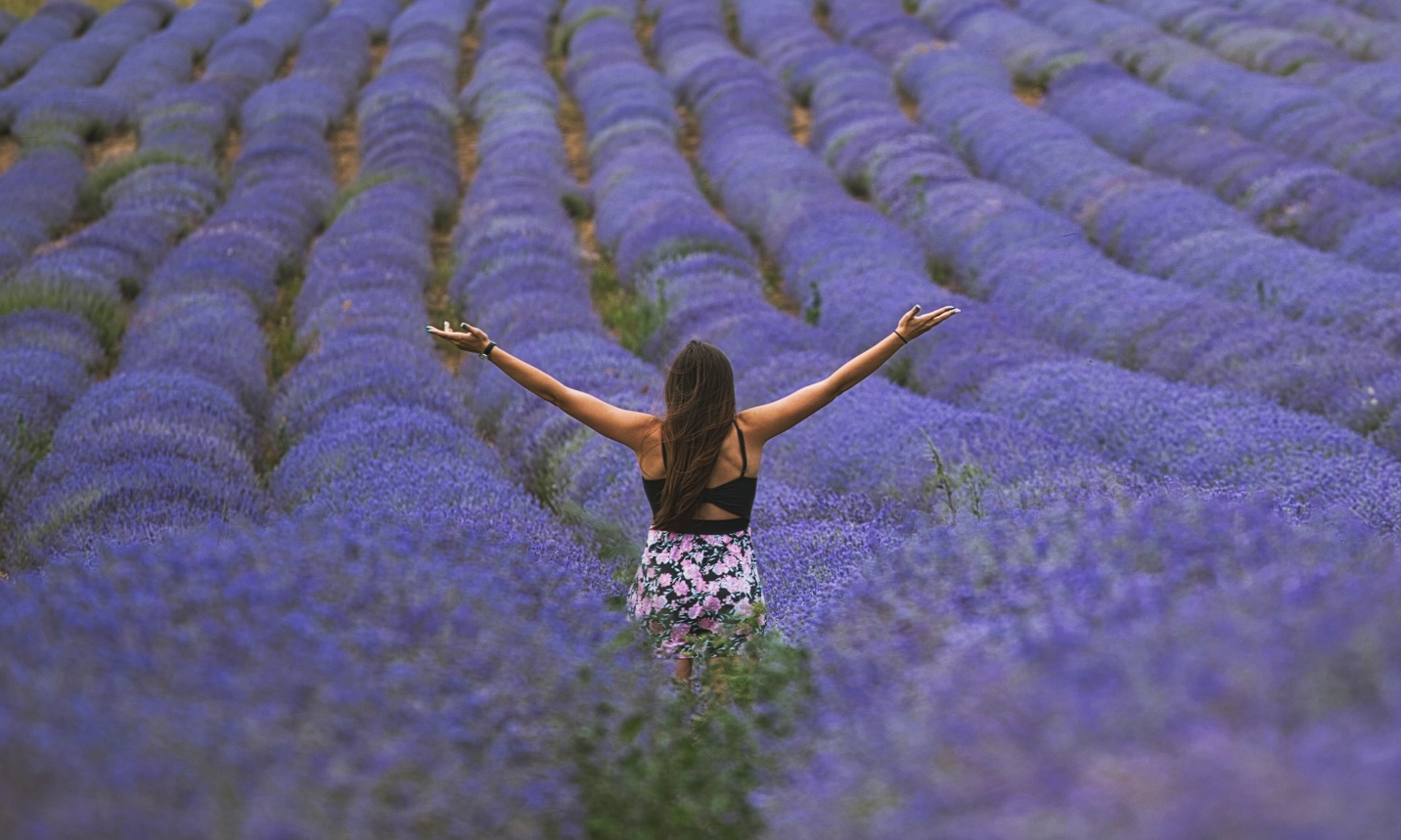 Understanding Regression Therapy and Past Life Therapy Approaches