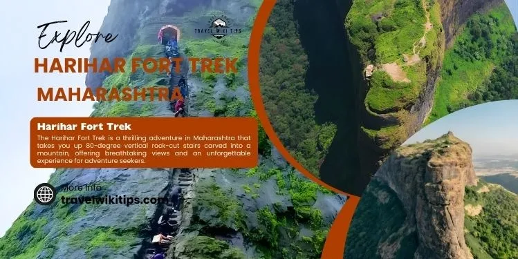 Outdoor Journey Ideas For Mountain Paths Coastal Routes Forest Escapes And Scenic Discovery Outdoor Journey Ideas For Mountain Paths Coastal Routes Forest Escapes And Scenic Discovery