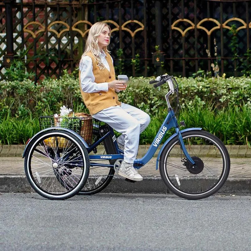 电动三轮车