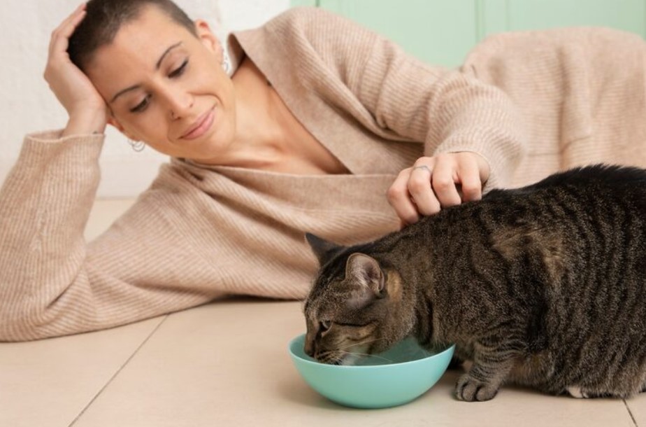 How to Find the Healthiest Wet Cat Food for Your Feline
