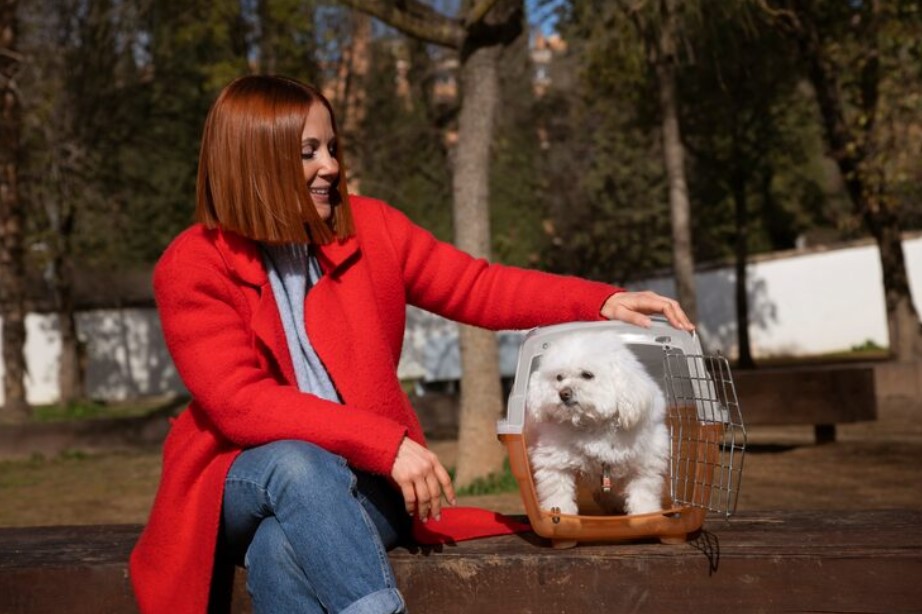 Small Animal Cage Guide: How to Choose the Right Home for Your Pet Small Animal Cage Guide: How to Choose the Right Home for Your Pet
