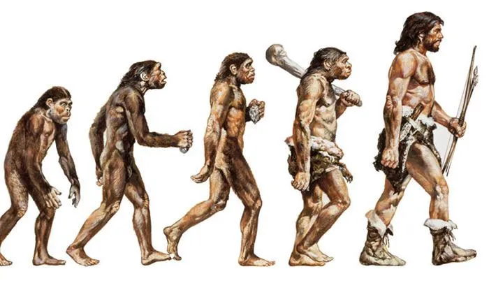 This may contain: the evolution of humans is depicted in this drawing