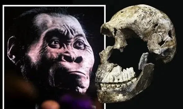 This may contain: an image of a human skull next to a photo of a monkey's head