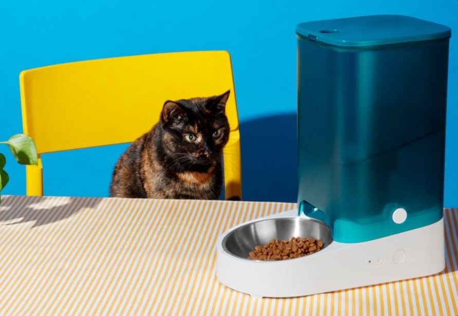 Beyond the Can: A No-Nonsense Guide to Modern Cat Food