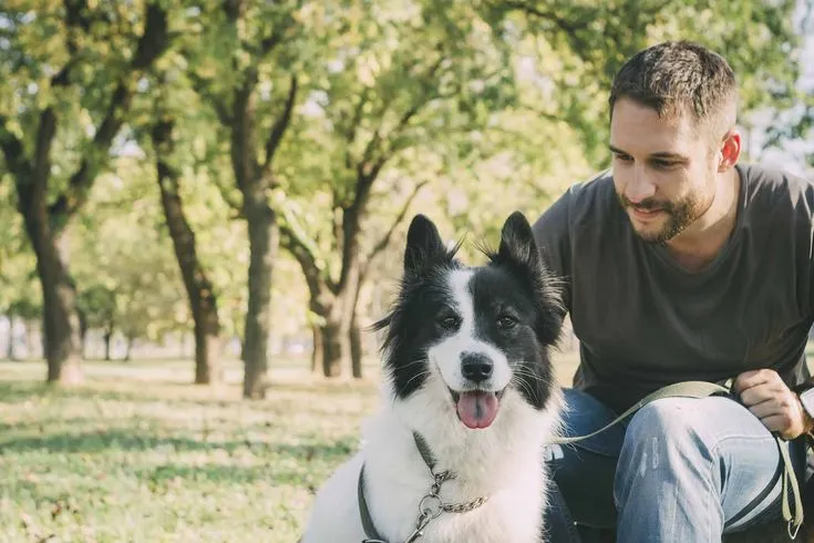 This may contain: a man sitting next to a dog on top of a grass covered park bench with trees in the background