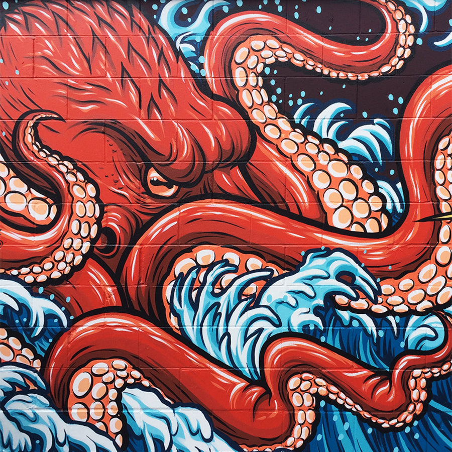 How Minnesota Creative Services Turn Business Stories Into Visual Experiences