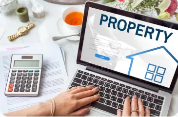 Exploring Budget Options for Professional Digital Property Enhancement