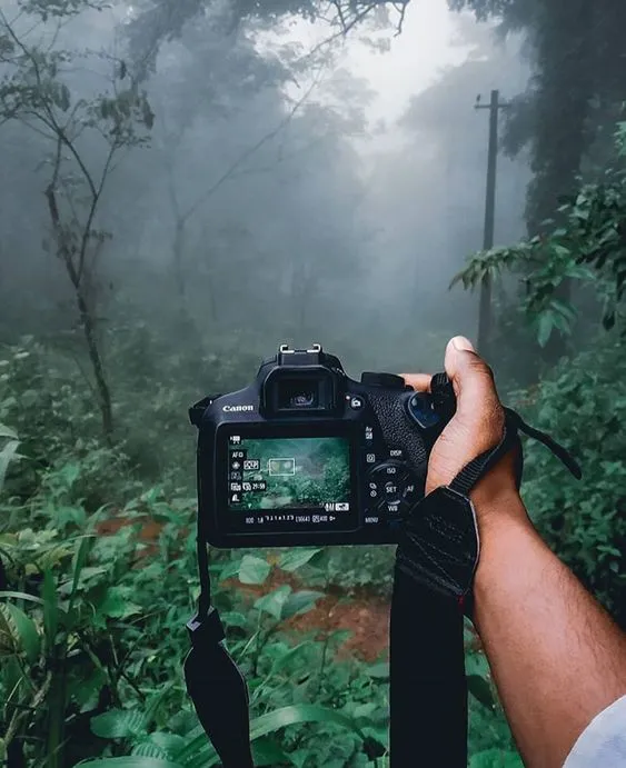 This may contain: a person holding up a camera in front of some trees and bushes on a foggy day