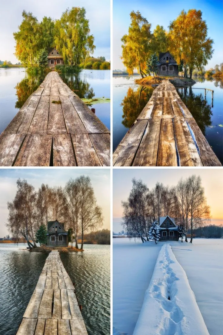This may contain: four different pictures of snow covered docks and houses in the water, with trees on either side