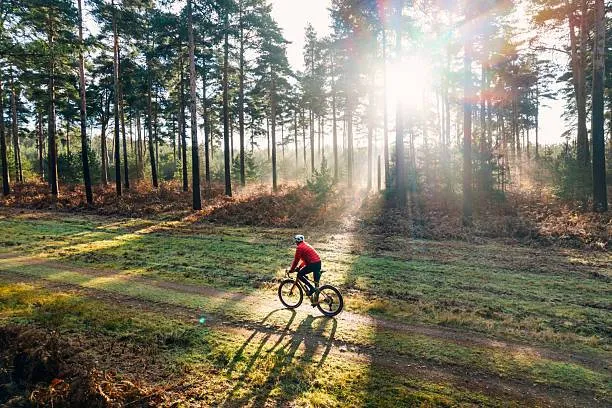 As daylight fades earlier, here's what it can mean for your mental health