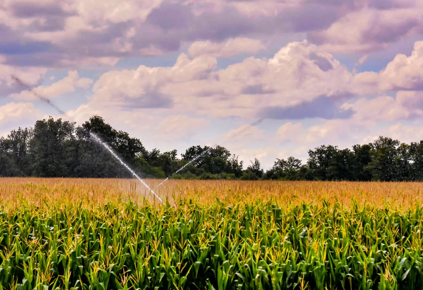 FAQ: Sprinkler System Service in Sylvania, OH | Waterville Irrigation FAQ: Sprinkler System Service in Sylvania, OH | Waterville Irrigation