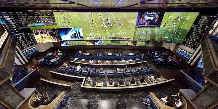 This may contain: an overhead view of a sports stadium with people sitting in the seats and watching televisions