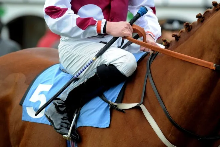 This may contain: a jockey riding on the back of a brown horse wearing a white and blue uniform