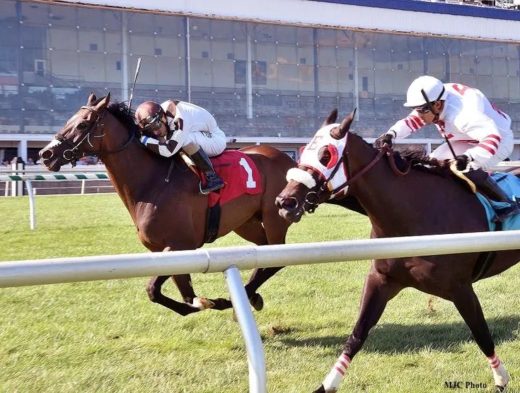 This may contain: two jockeys on horses racing down the track