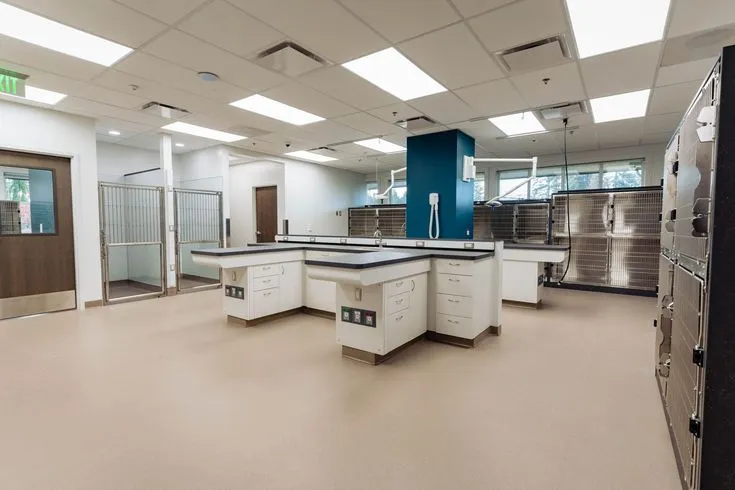 This may contain: an empty room with many cabinets and drawers