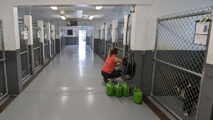 This may contain: a woman squatting down on the floor in a jail cell with green bags around her