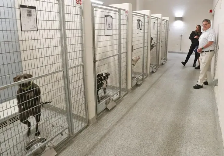 This may contain: two men standing next to each other in front of some cages with dogs on them