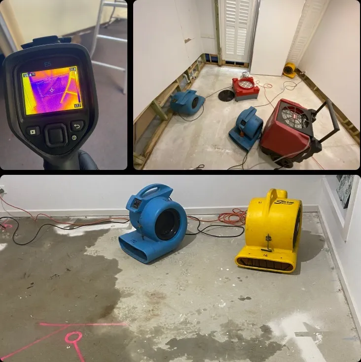 How Swift Mould Removal Services Protect Properties After Damage How Swift Mould Removal Services Protect Properties After Damage