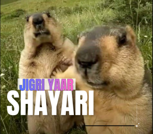 Shayari Finds New Meaning In Small Moments We Usually Overlook
