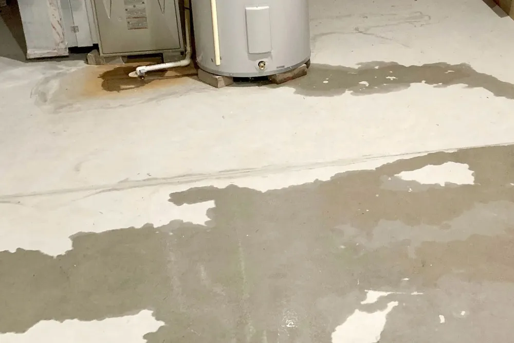 Greg, Author at Crawl Space Encapsulation | Crawlspace Repair | Crawlspace Vapor Barrier