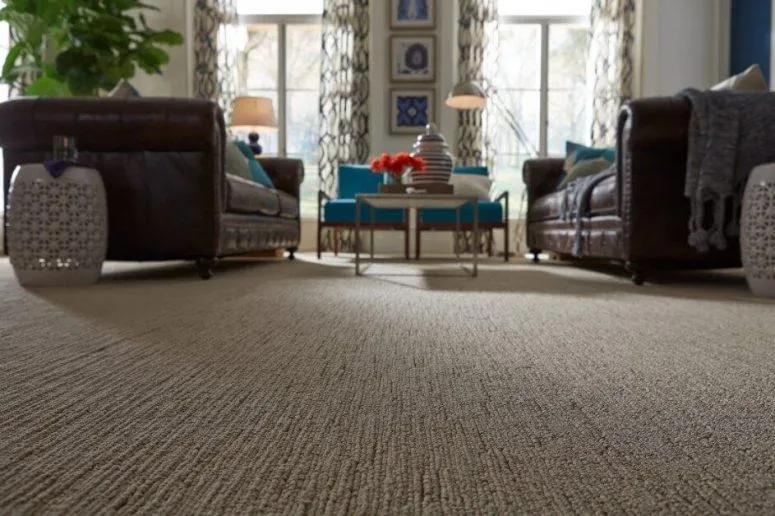 Wall to Wall Carpets, Office Carpets and Microcement in Dubai: Which Floor Fits? Wall to Wall Carpets, Office Carpets and Microcement in Dubai: Which Floor Fits?
