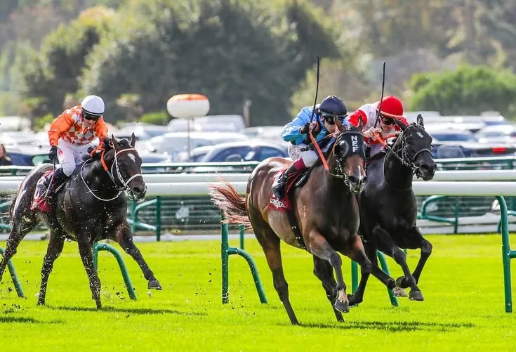 This may contain: two jockeys are racing horses on the track