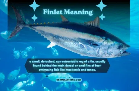 Understanding Compound Words And How Their Meanings Develop Understanding Compound Words And How Their Meanings Develop