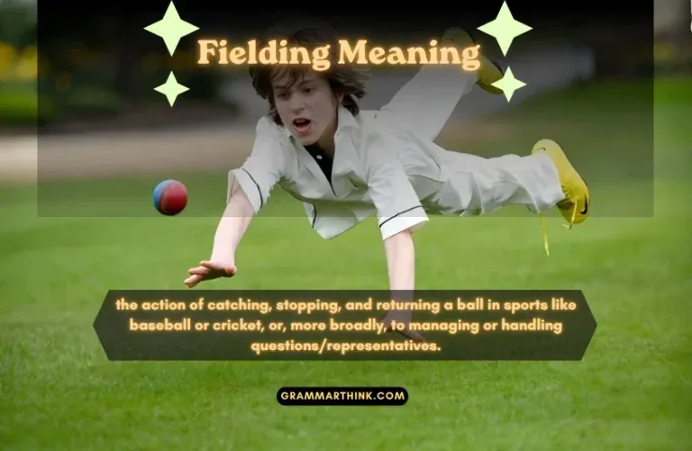 Understanding Homonyms And Their Meanings In English