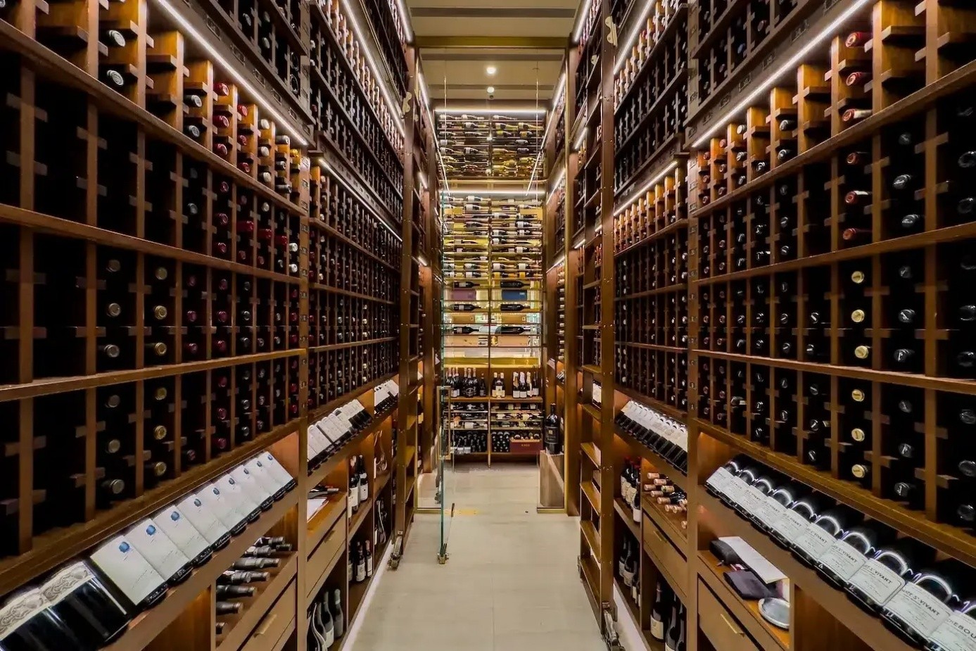 Five Refrigeration Myths That Quietly Damage Wine Five Refrigeration Myths That Quietly Damage Wine