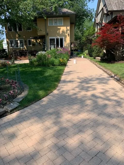 Tim Rainey, Chicago Landscaper Tim Rainey | Grassroots Landscape Specialties