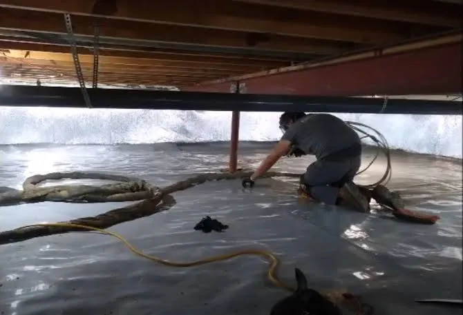 Nu-Crawl Seamless Liner | Sprayed Crawlspace Encapsulation