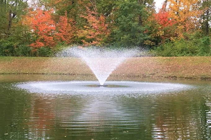 Expert Fountain & Aeration System Installation | Water Landscapes