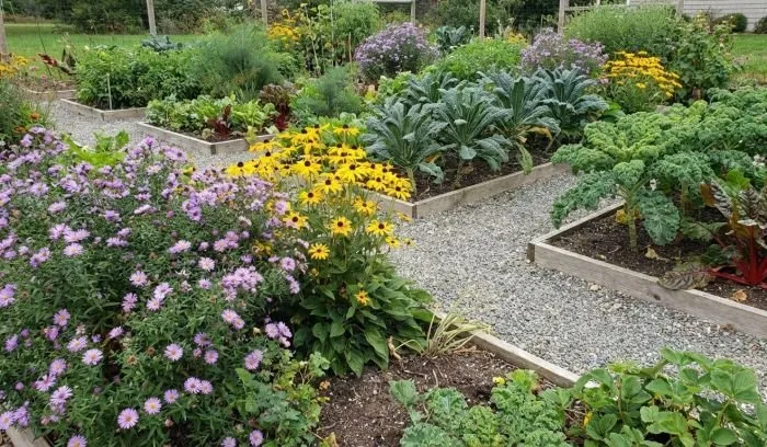 Garden Planning and Design for Year-Round Color and Harvest