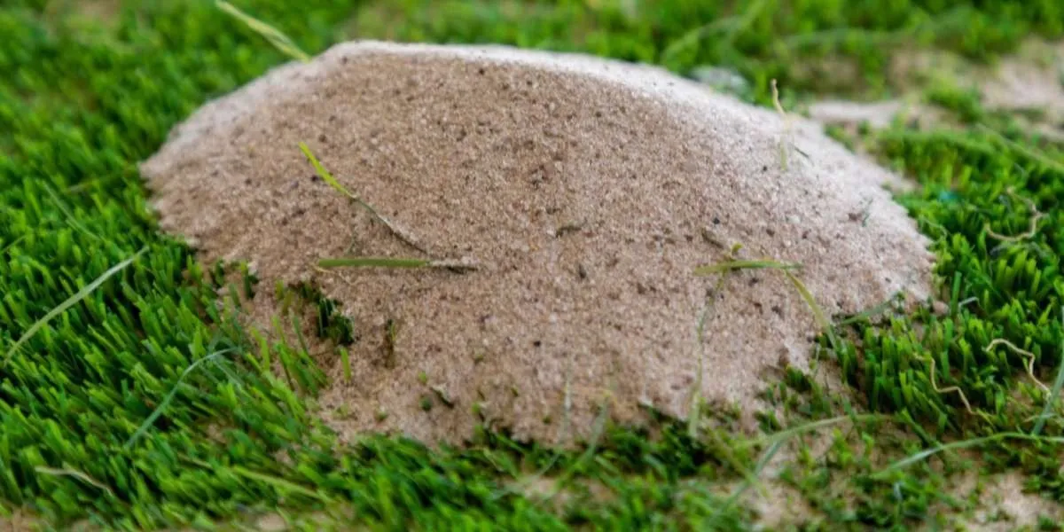 Tiny Grains, Big Results: Surprising Uses for Silica Sand Landscaping