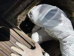 Why DIY Cleanup May Not Replace Sewage Cleaning Services