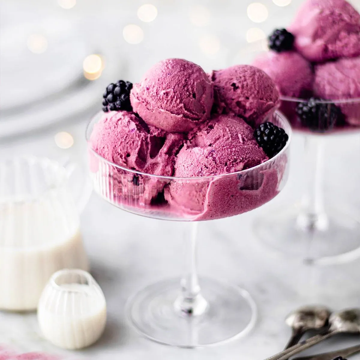 Garnet Elderberry Blackberry Blueberry Ice Cream – Suncore Foods Inc.