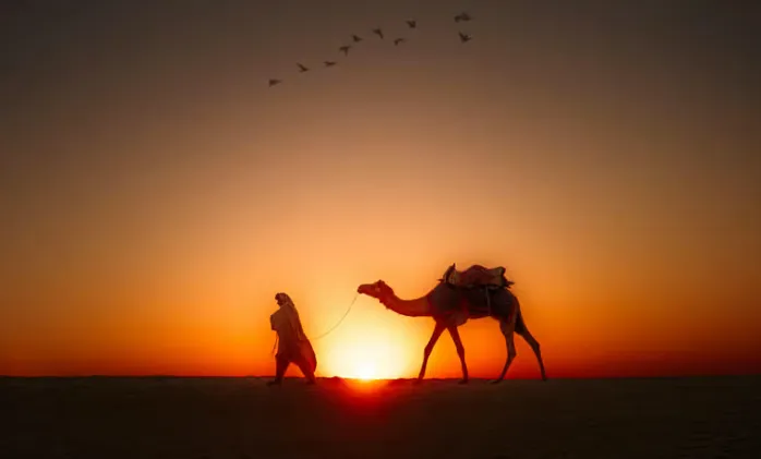 What to Expect from a Night in the Thar Desert: From Sunset to Sunrise