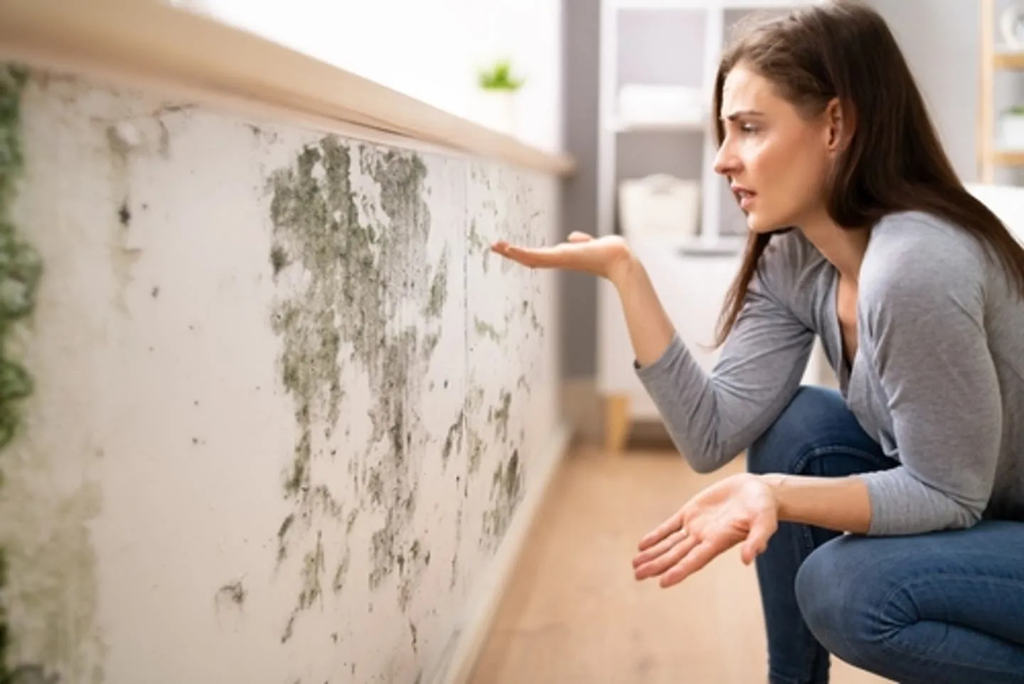 How to Detect Mold in Walls | SERVPRO